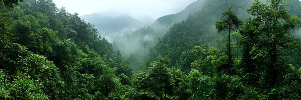 Lush green forest landscape with text overlay "Sustainability & Quality" — promoting eco-friendly fabrics, low-waste production, and durable golf apparel