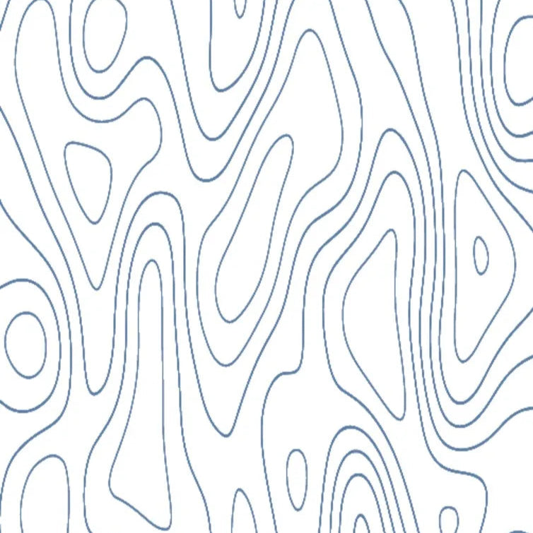 Impressionist Painting 2 - Abstract Contour Line Pattern